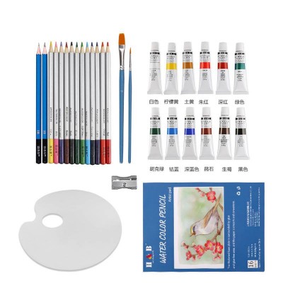 professional watercolor paint brush pencils set